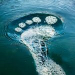 What Is a Water Footprint? Types, Calculation and Ways to Reduce It