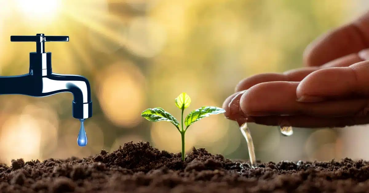 What Is Water Conservation? Why Is It Important and How Can It Be Achieved?