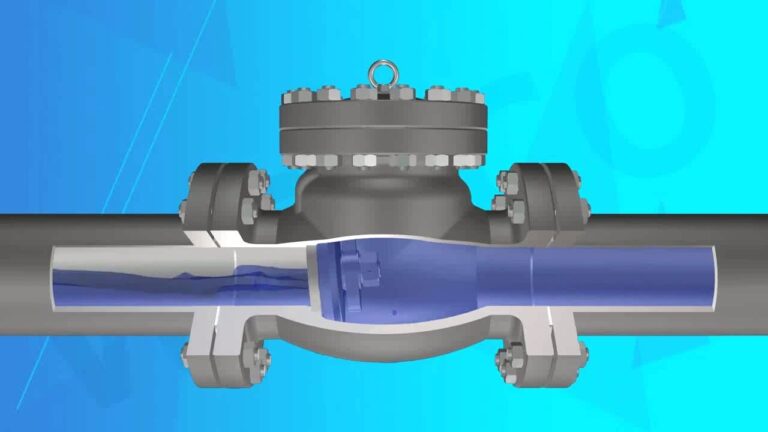 Check Valve (Çek Valf) Nedir, Ne İşe Yarar?